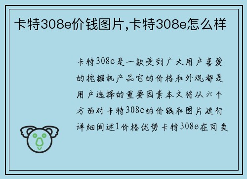 卡特308e价钱图片,卡特308e怎么样